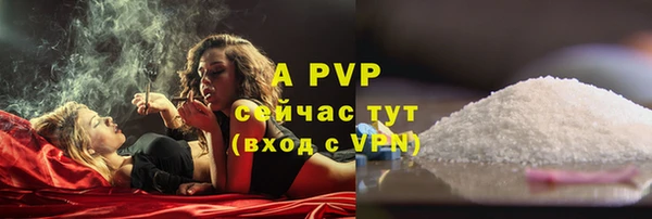 PSILOCYBIN Магас