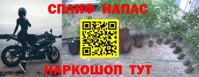 тгк Севастополь