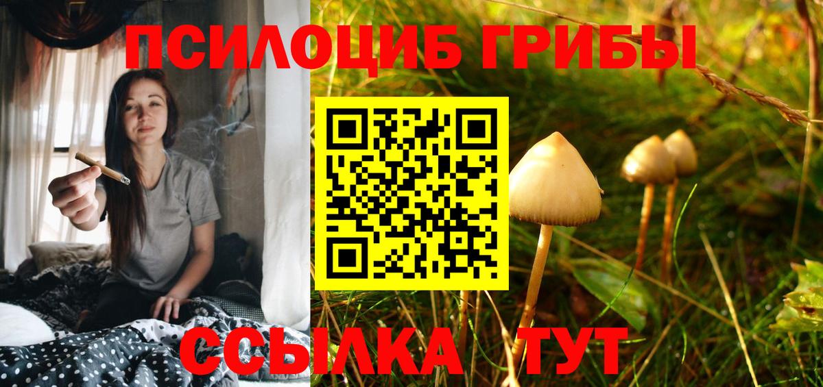Галлюциногенные грибы MAGIC MUSHROOMS  Псилоцибиновые грибы Magic Shrooms  Шумерля  Вход с VPN 