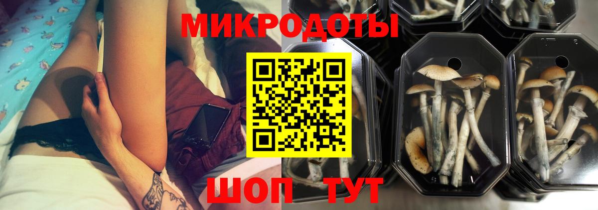 Галлюциногенные грибы Cubensis Шумерля